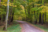 T75_5085~0.jpg