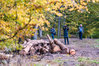 T75_5092~0.jpg