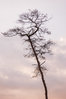 T75_5095~0.jpg