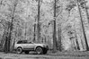T75_5149-Edit~0.jpg