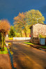 TOK_3668-Edit.jpg