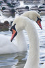 ARK_5405_900_y.jpg
