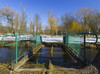 wiosna_2013-264.jpg