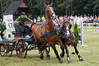 MKI_1190_Baborowko2012.JPG