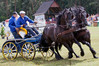 MKI_1201_Baborowko2012.JPG