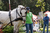 MKI_1224_Baborowko2012.JPG