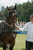 MKI_1225_Baborowko2012.JPG
