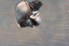 wojP6050090.jpg