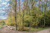 wojPA130031.jpg