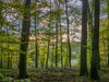 wojPA130085.jpg
