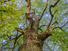 wojPA130088.jpg