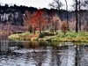 wojan1010042.jpg