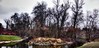 wojan1010045a.jpg