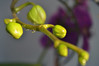 DSC_0651.JPG