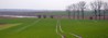 DSC_0083a.jpg