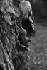 IMG_2224bw.JPG