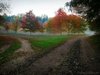 P1150205do~1.jpg