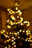 P1290090z.JPG