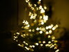 P1290173z.JPG