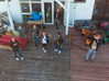 DJI_0985.jpg