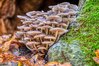 TK_DSC_0089_AUR.jpg