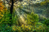 TK_DSC_0140.jpg