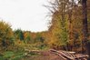 DSC_0452.JPG