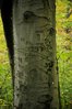 DSC_0501.JPG
