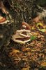 DSC_0569.JPG